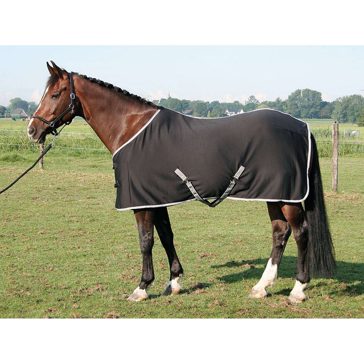 Harry's Horse Alfombra Jersey Cooler Negro