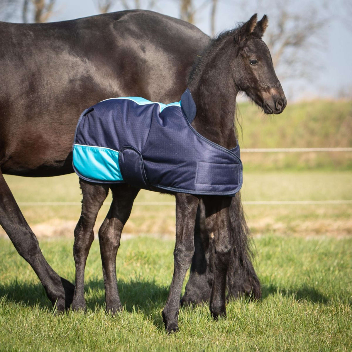 Harry's Horse Manta para Potro TwoTone Navy