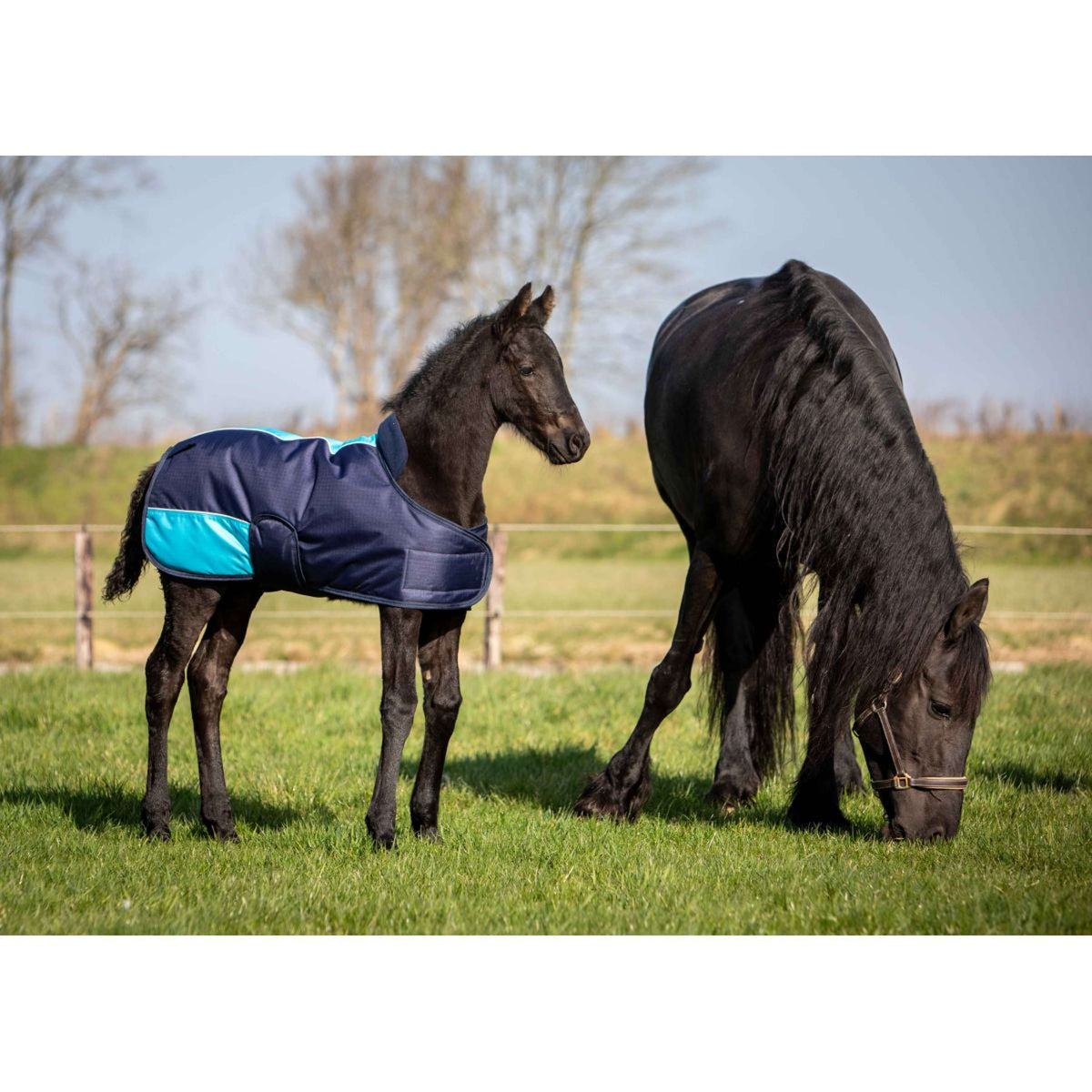 Harry's Horse Manta para Potro TwoTone Navy
