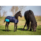 Harry's Horse Manta para Potro TwoTone Navy