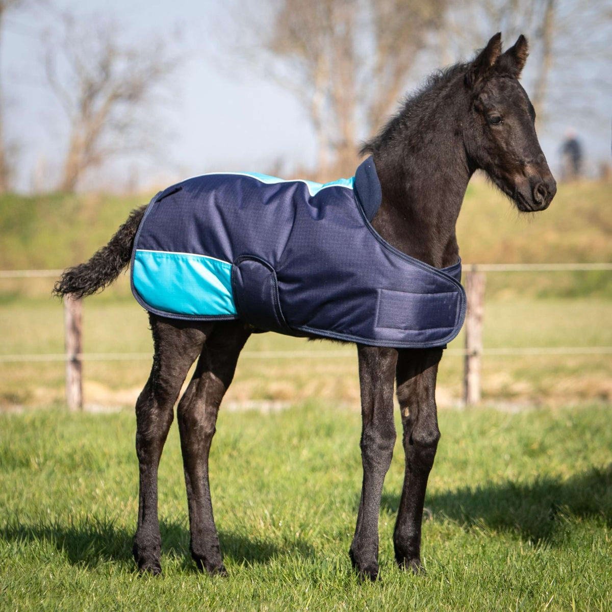 Harry's Horse Manta para Potro TwoTone Navy