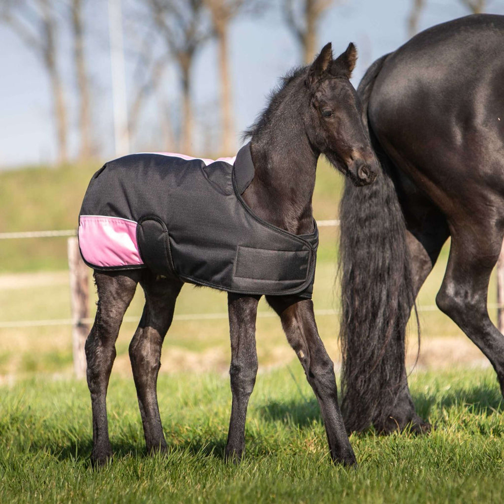 Harry's Horse Manta para Potro TwoTone Negro