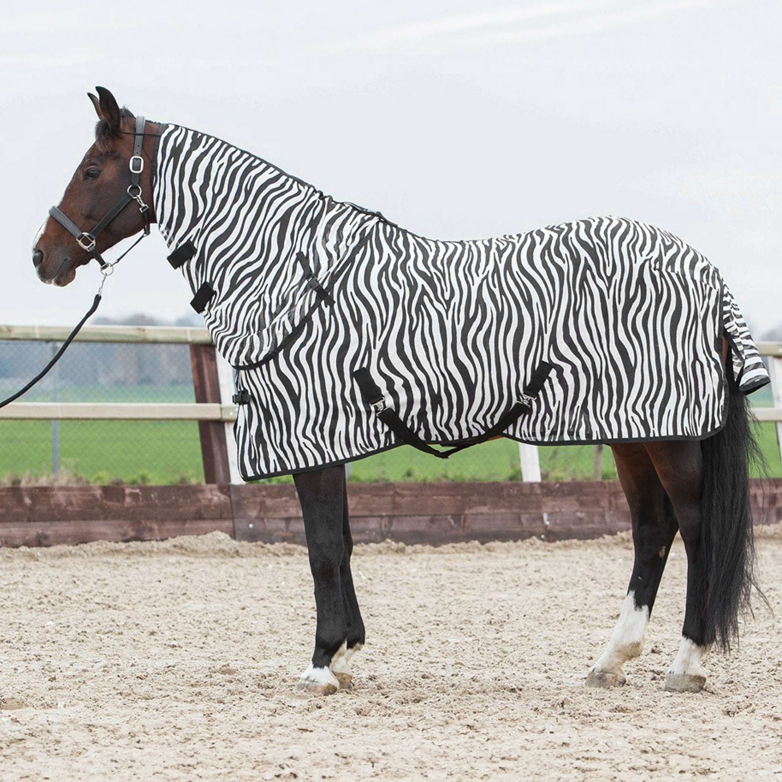 Harry's Horse Manta Antimoscas Capucha Desmontable Zebra Harry's Horse Manta Antimoscas Capucha Desmontable Zebra