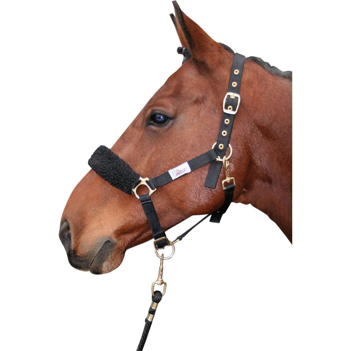 Harry's Horse Protector de Nariz Synthetisch Negro