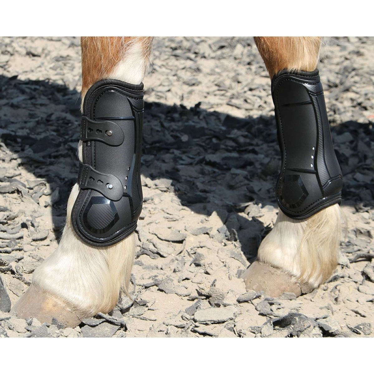 Harry's Horse Botas para Tendones Percy Air Negro