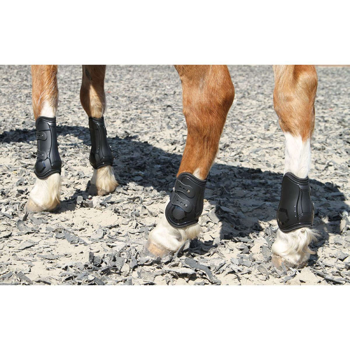 Harry's Horse Botas para Tendones Percy Air Negro