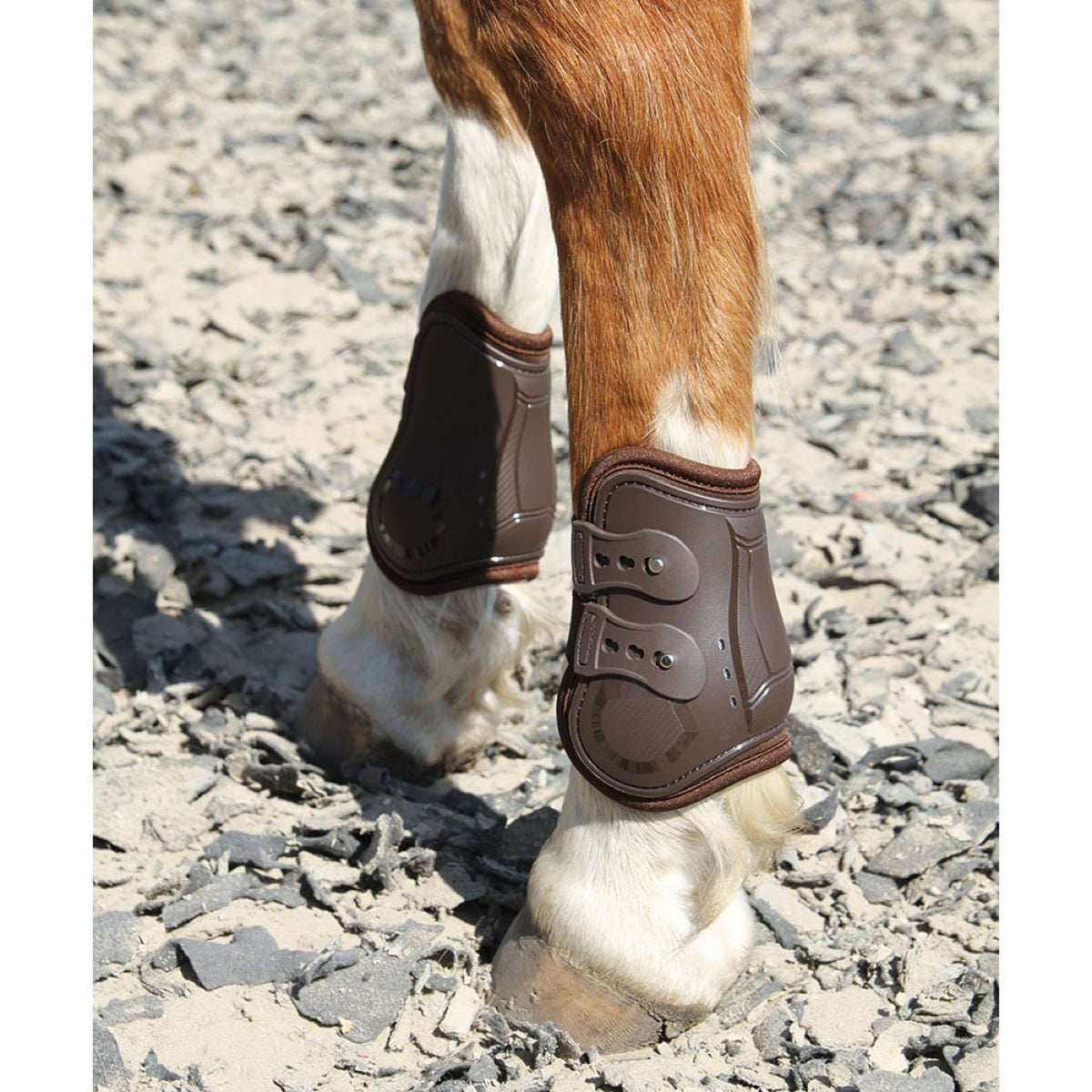 Harry's Horse Botas protectoras de menudillo Percy Air Marron