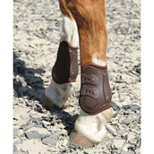 Harry's Horse Botas protectoras de menudillo Percy Air Marron