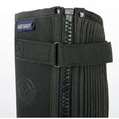 Harry's Horse Minichaps Amara Negro