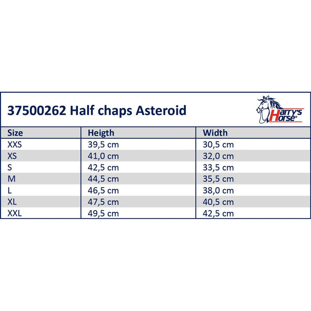 Harry's Horse Minichaps Asteroid Negro