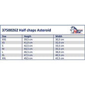 Harry's Horse Minichaps Asteroid Negro