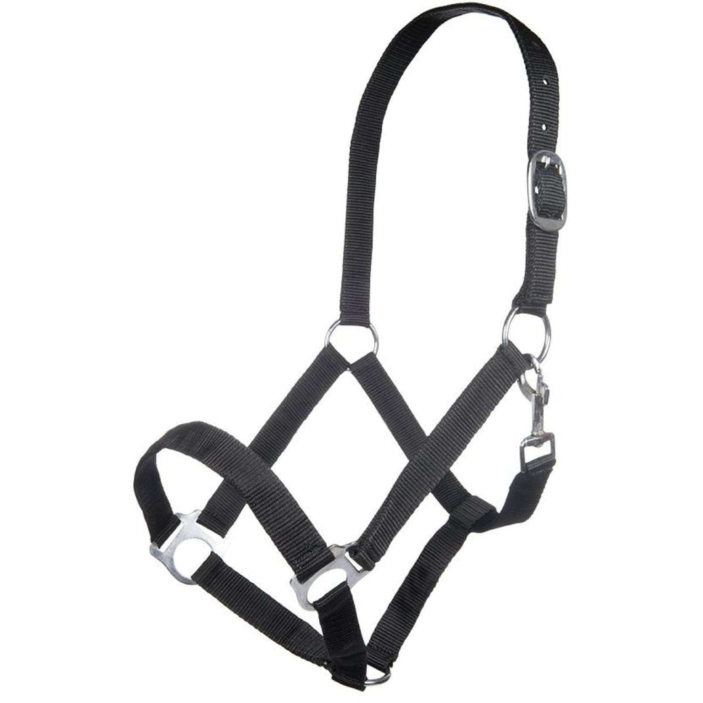 HKM Cabestro Brisbane Negro