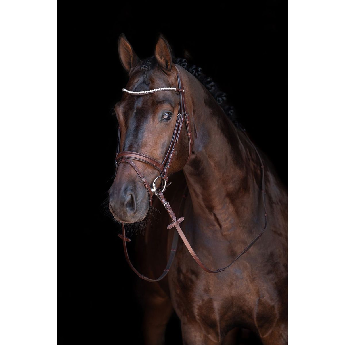 HKM Brida Mia Marron