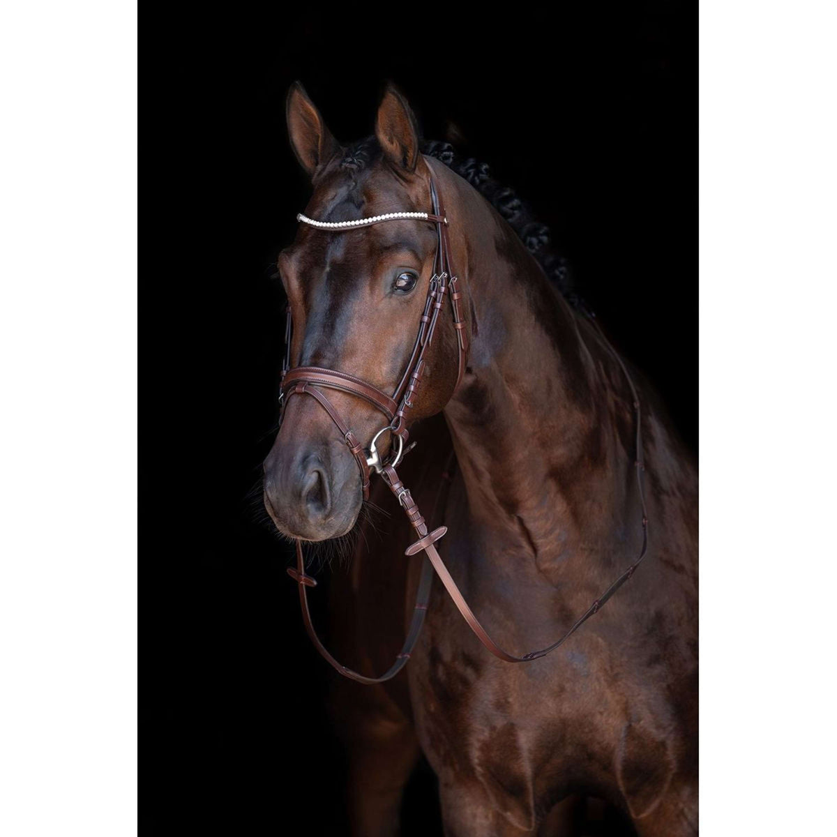 HKM Brida Mia Marron