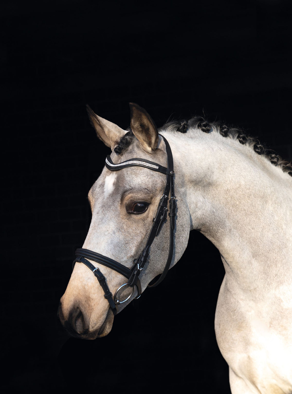 HKM Brida Bijou Negro