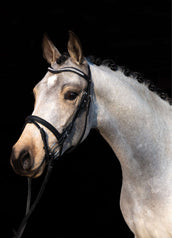 HKM Brida Bijou Negro