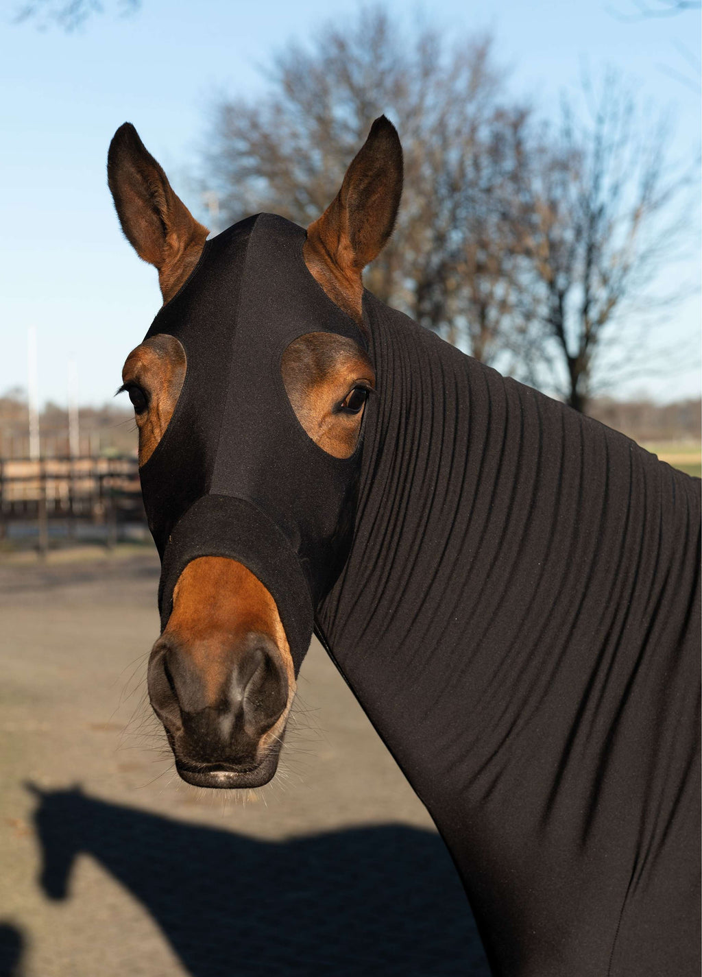 HKM Protector de cuello y pecho Sleezy Negro