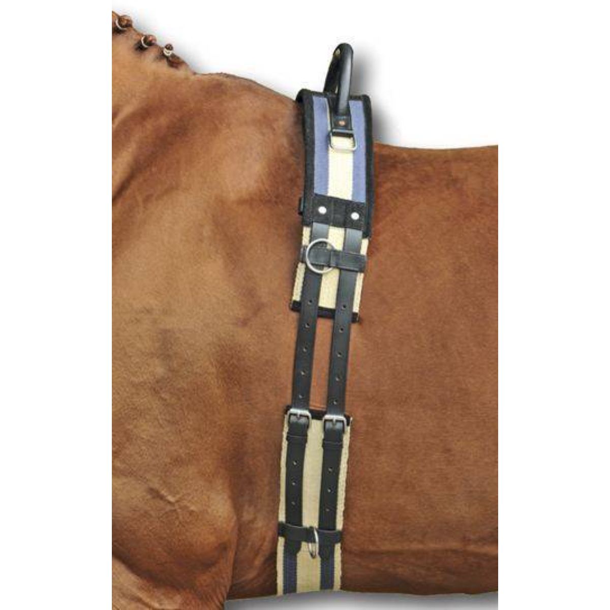 HKM Cincha de Trabajo Azul oscuro