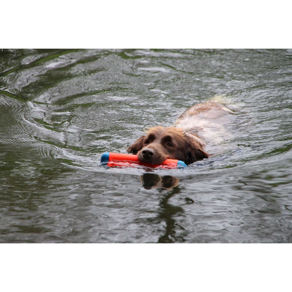 Chuckit Juguetes de Entrenamiento Amphibious Bumper