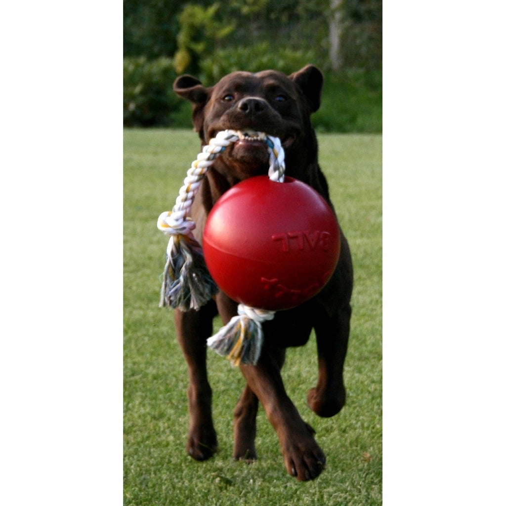 Jolly Ball Juguete para Perro Romp-n-Roll Rojo