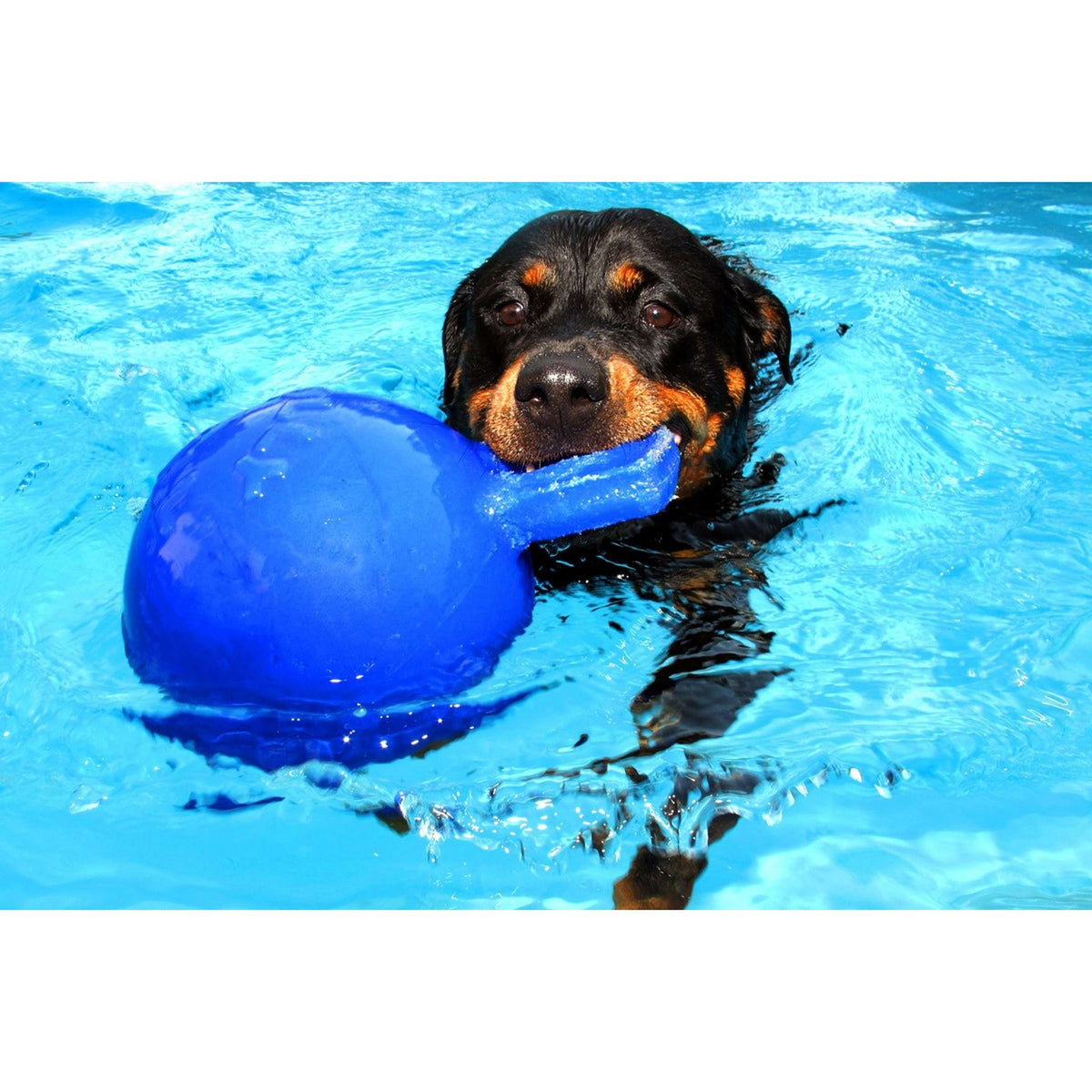 Jolly Ball Pelota de Juego Tug-n-Toss Azul
