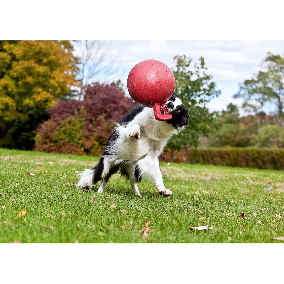 Jolly Ball Pelota de Juego Tug-n-Toss Azul
