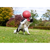 Jolly Ball Pelota de Juego Tug-n-Toss Azul