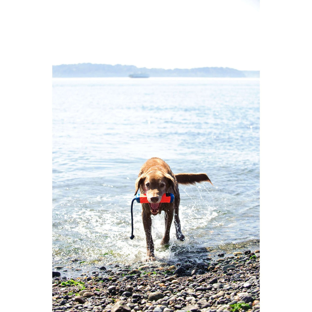 Chuckit Juguetes de Entrenamiento Amphibious Bumper