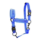 Excellent Cabestro Superior Azul