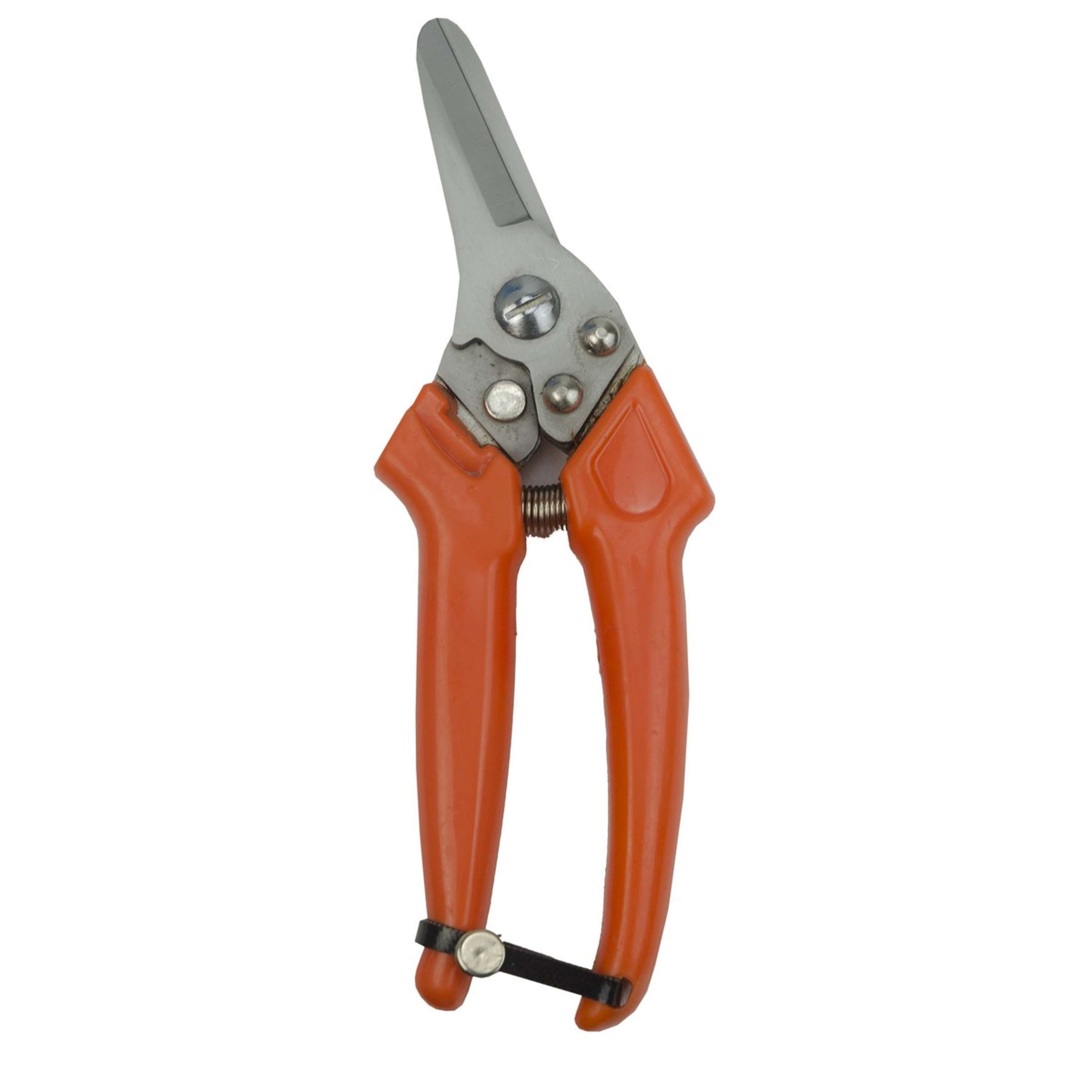 Holland Animal Care Cortaúñas Neerlandés