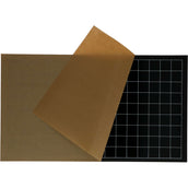 Insect-O-Cutor Placa Adhesiva Pestwest Chameleon