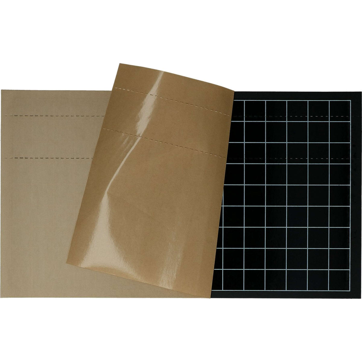 Insect-O-Cutor Placa Adhesiva Pestwest Chameleon