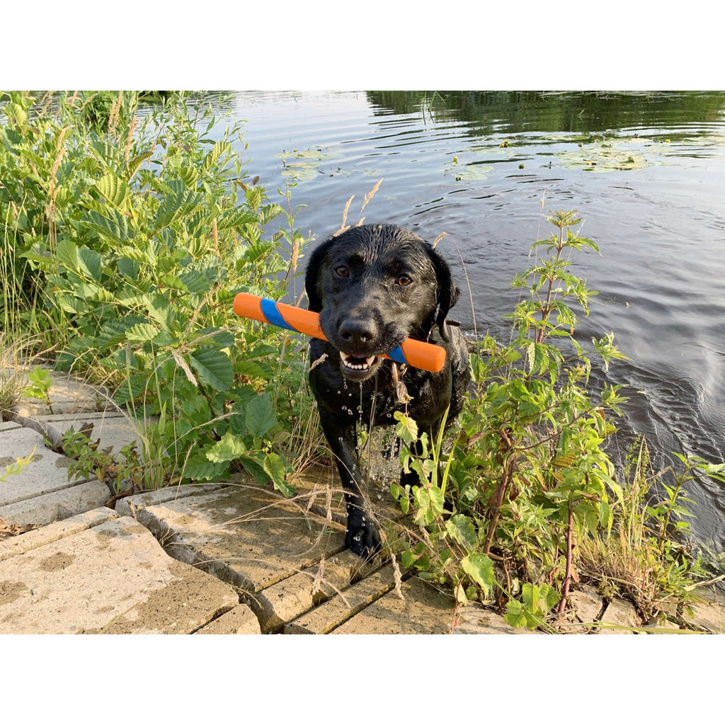 Chuckit Palo Ultra Fetch