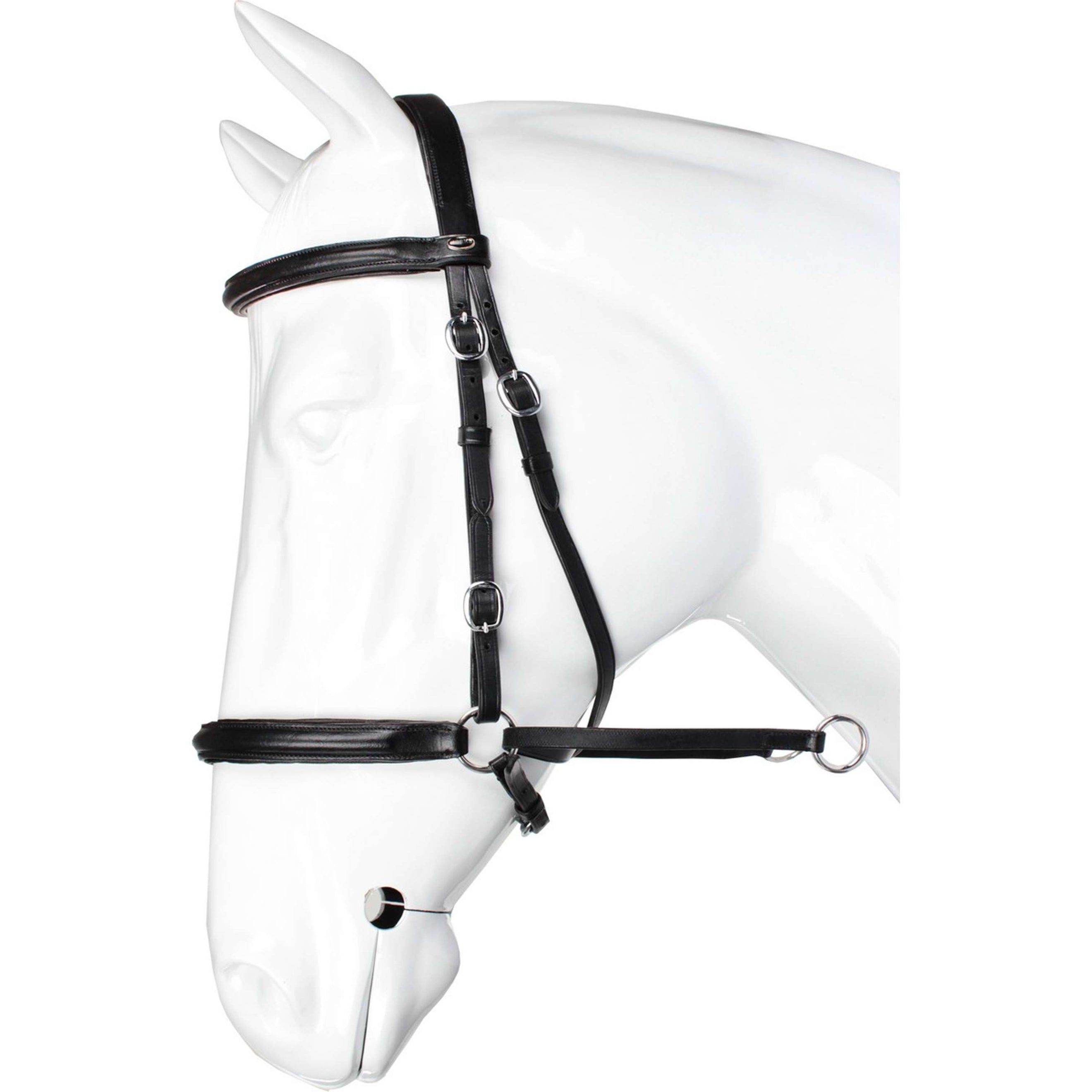 HORKA Brida Bitloos Negro/Plata