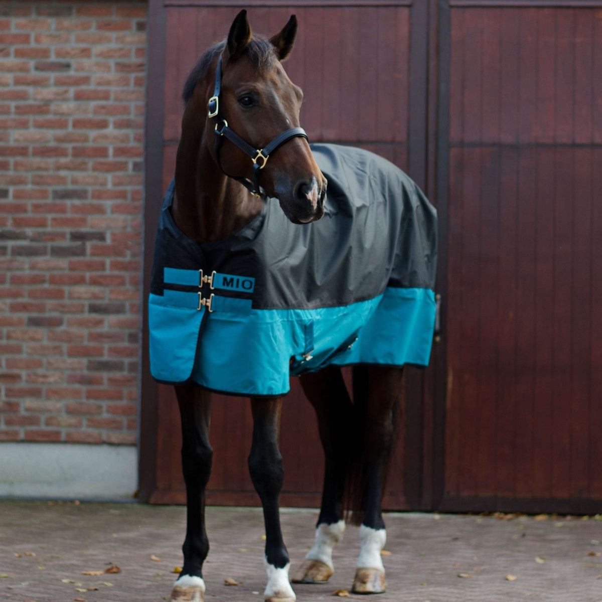 Mio Turnout Lite Negro/Turquesa