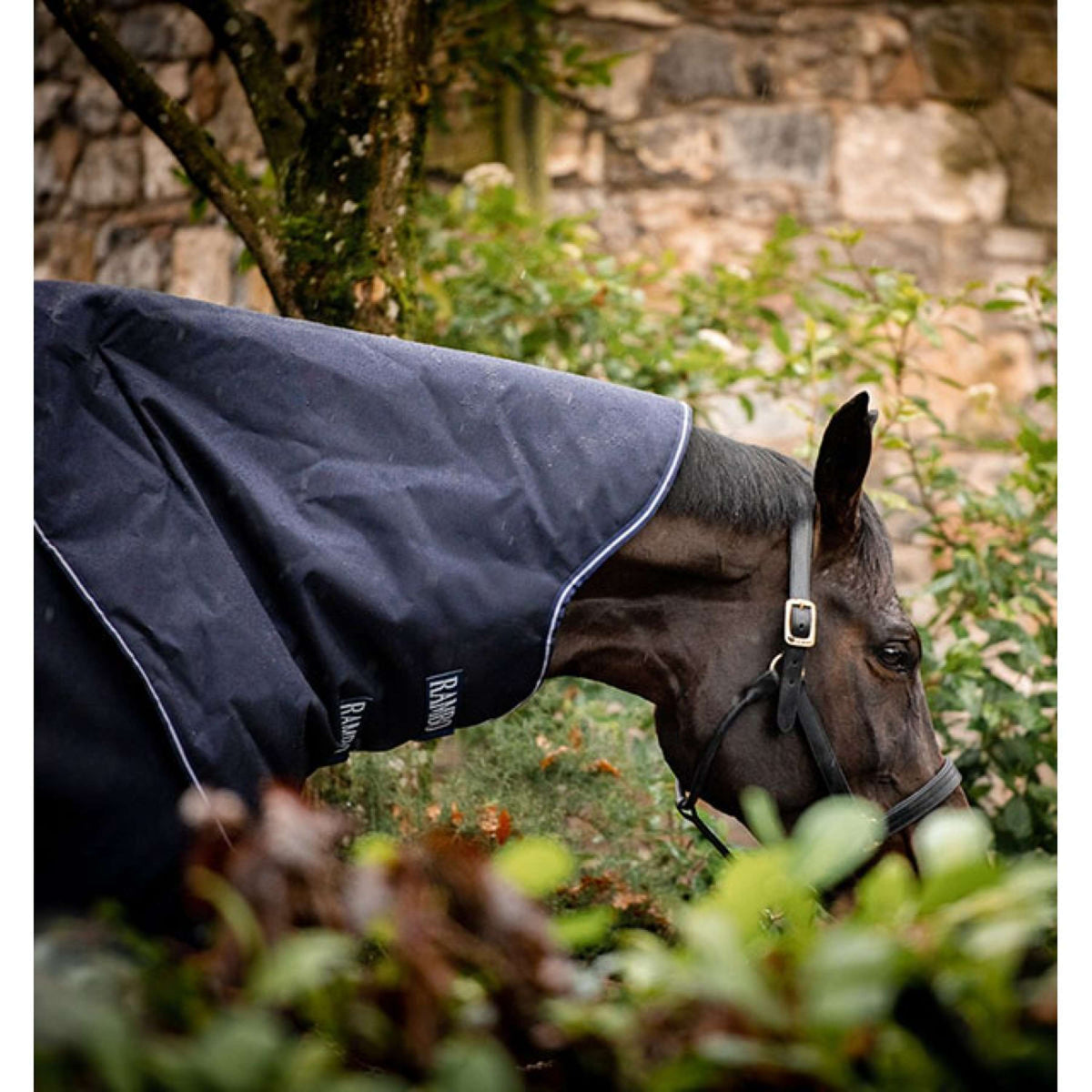 Rambo Cubrecuellos Duo Ripstop Hood Navy/Navy/Blanco