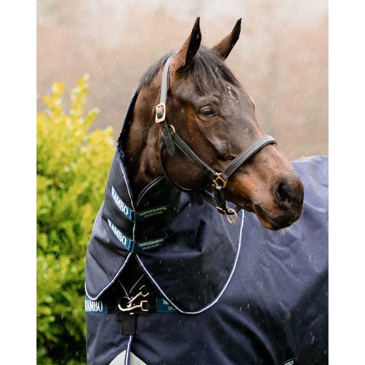 Rambo Cubrecuellos Duo Ripstop Hood Navy/Navy/Blanco