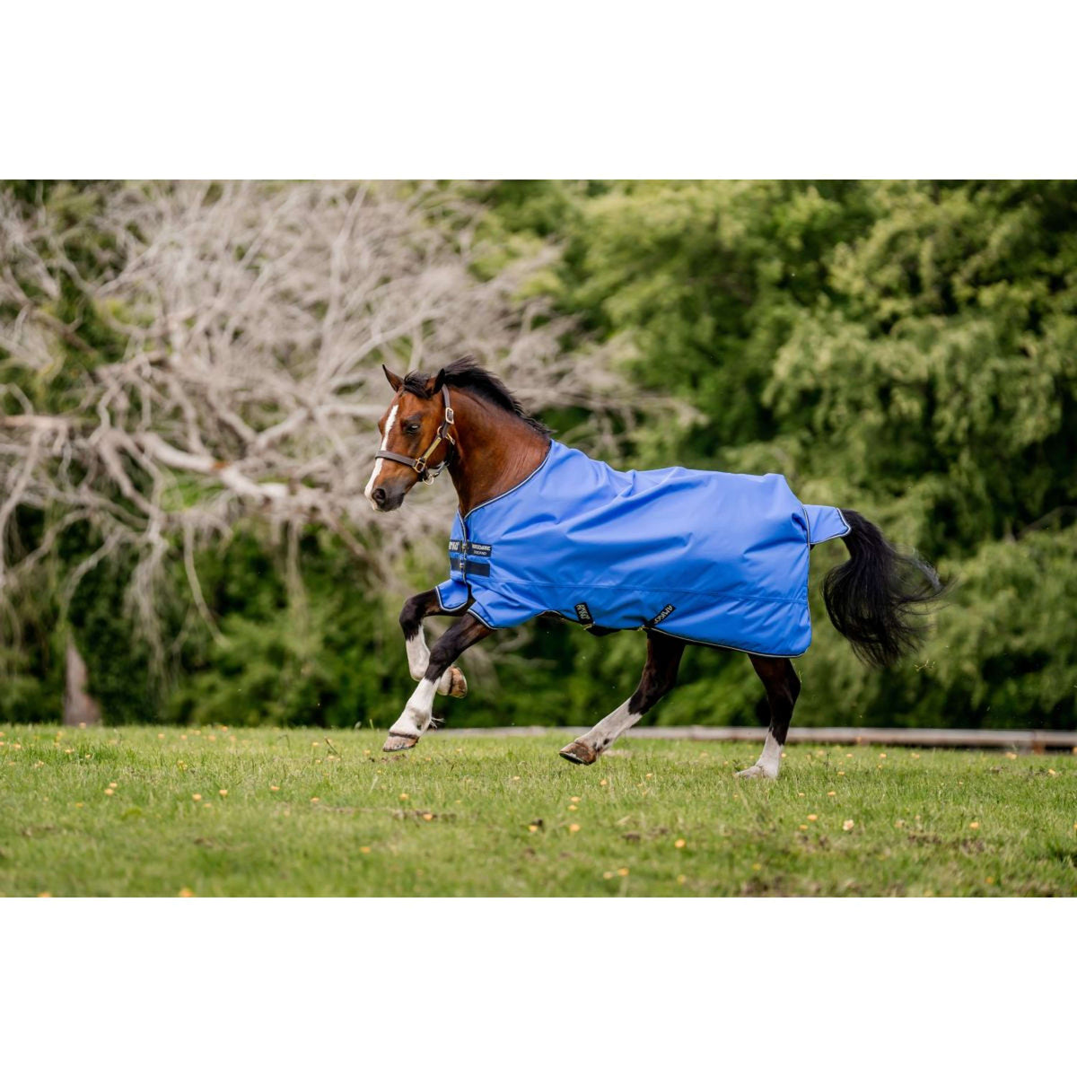 Amigo Hero Ripstop Lite 0g Azul