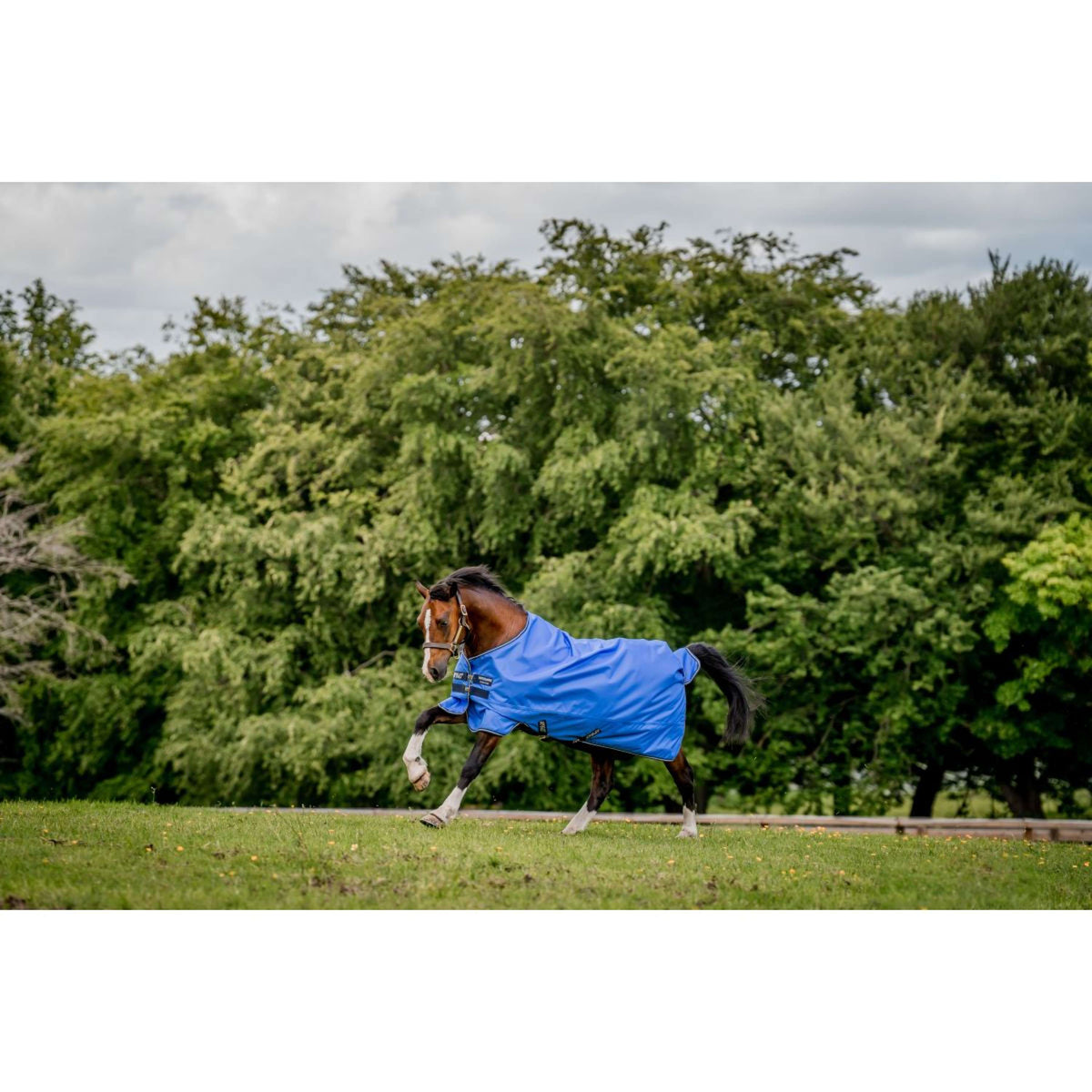 Amigo Hero Ripstop Lite 0g Azul