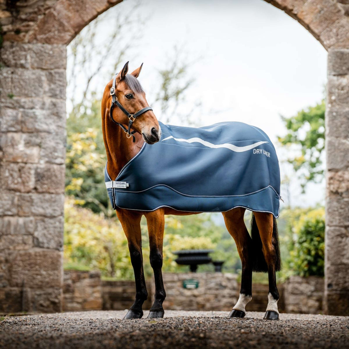 Horseware Dry Liner Marino/Plata