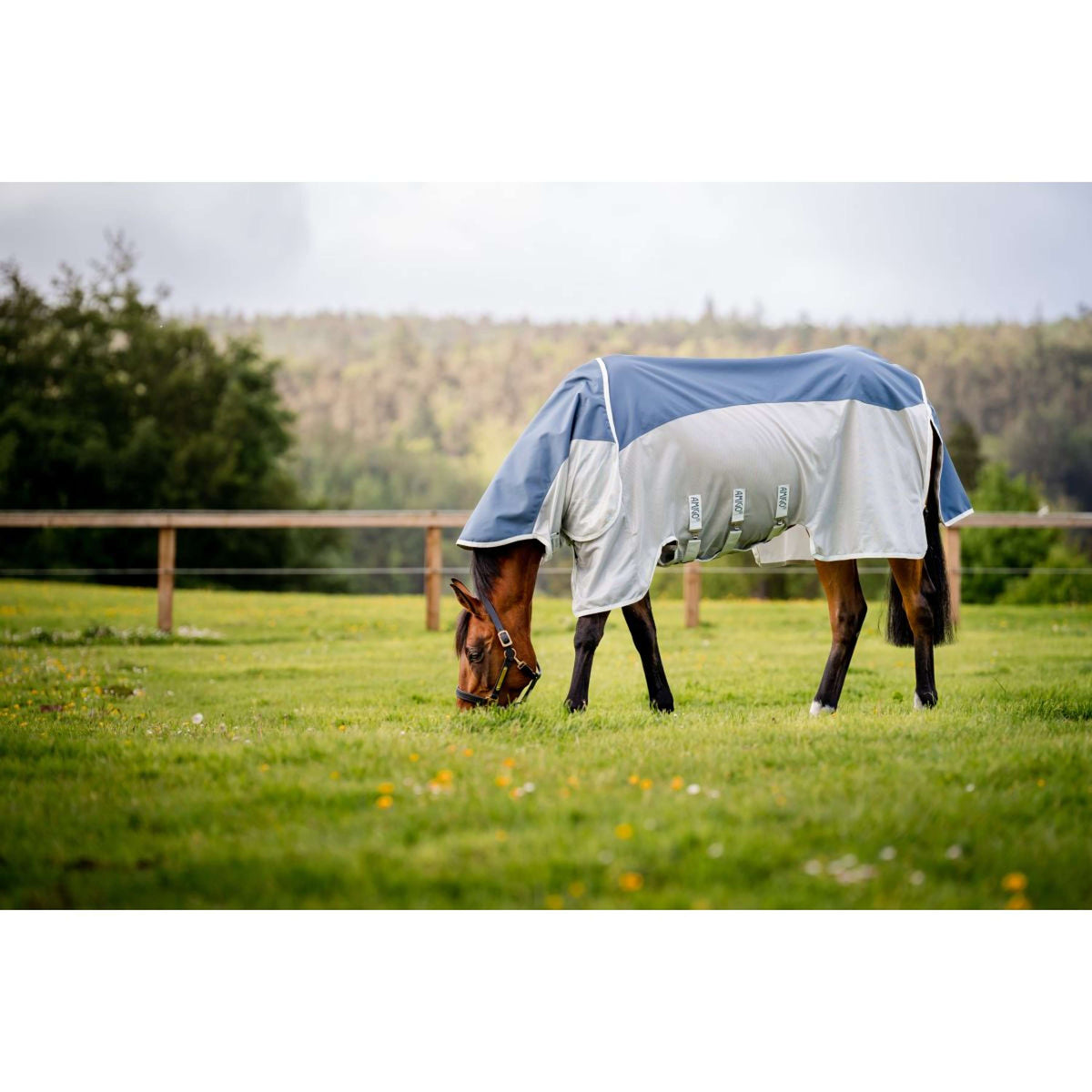 Amigo Manta Impermeable AmECO Combi Teal/Gris