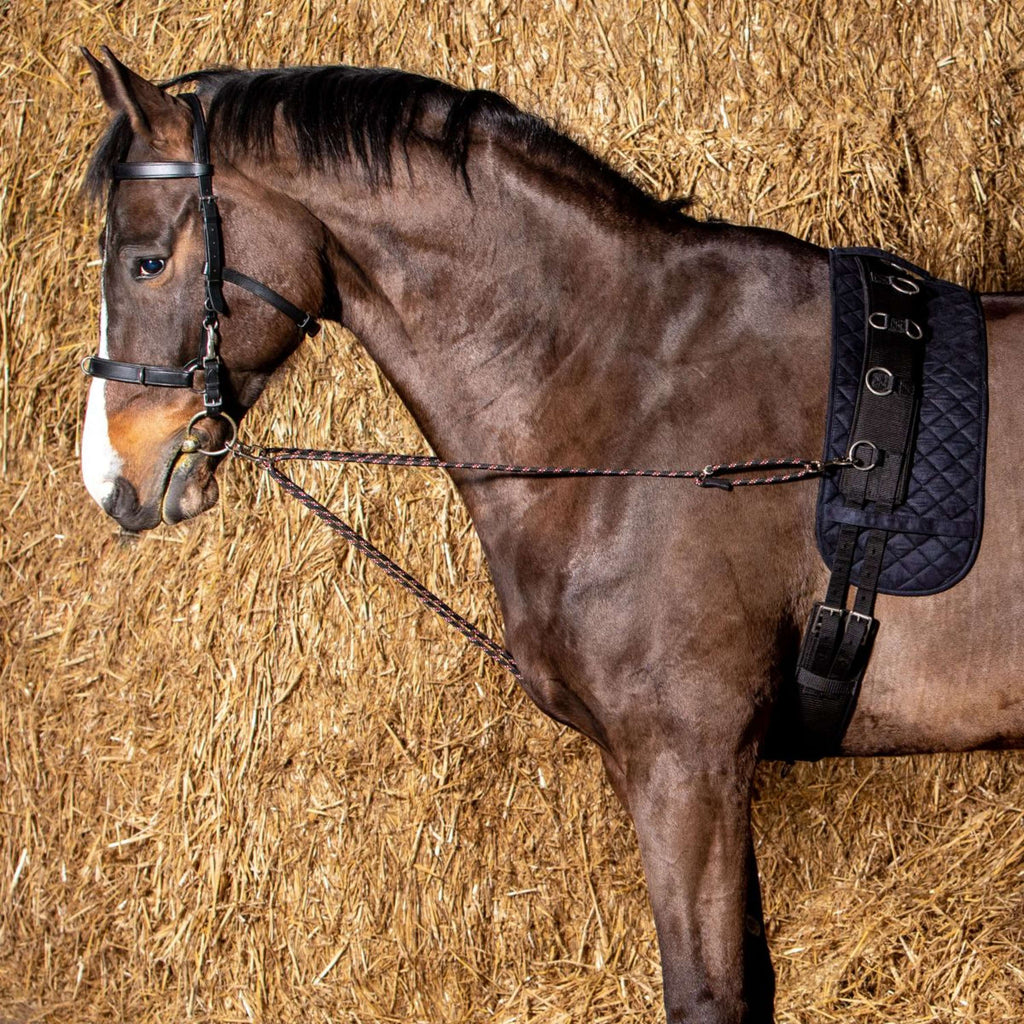 Harry's Horse Cuerda de Lanzar V-line Negro