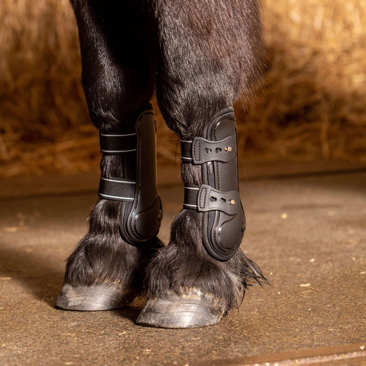 Harry's Horse Botas para tendones Pinlock Negro
