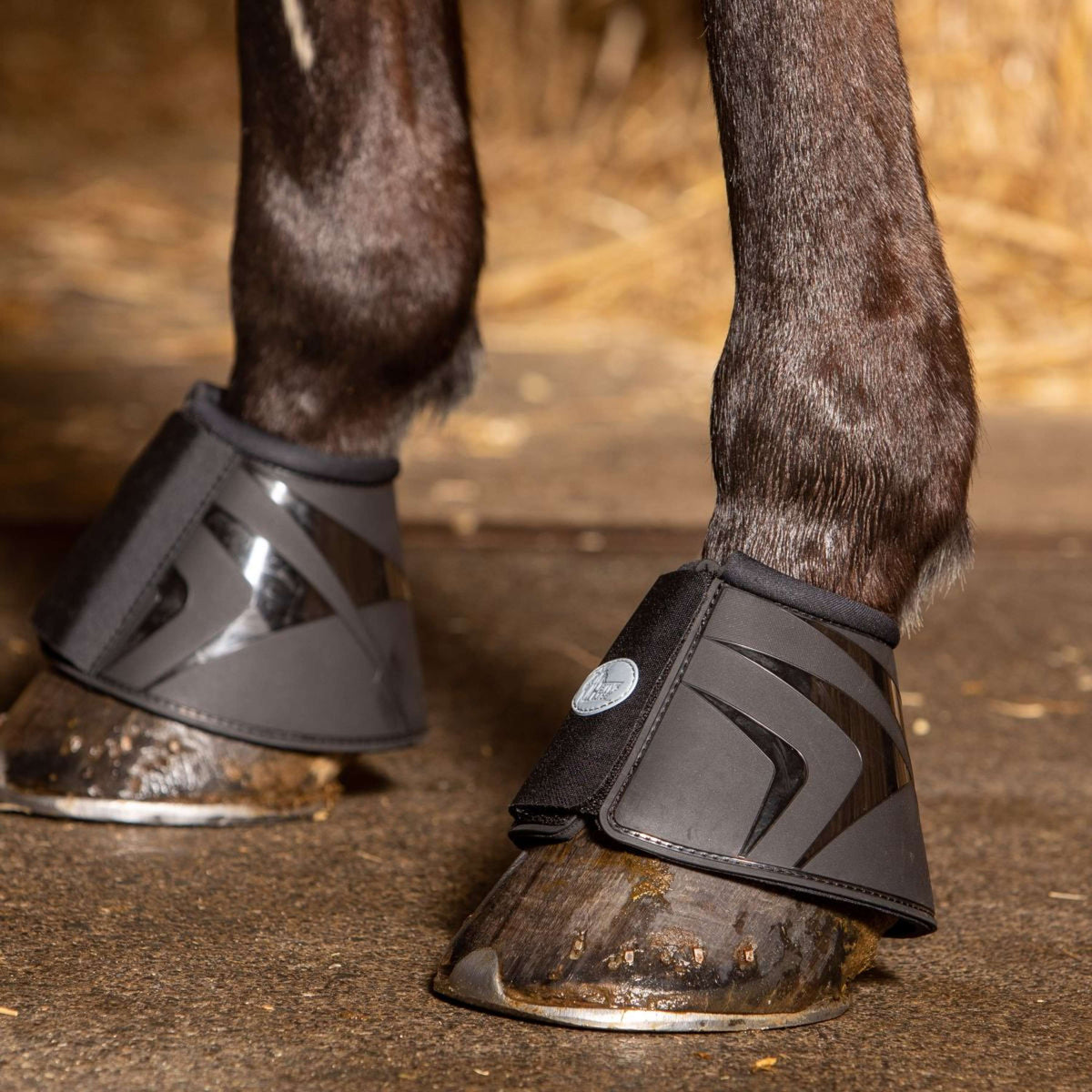 Harry's Horse Botas de Campana Pro-high Negro
