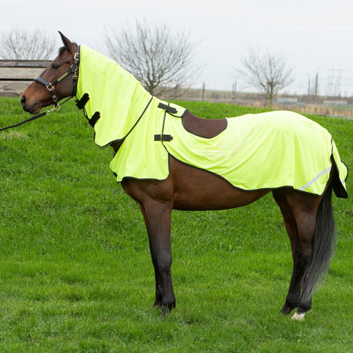 Harry's Horse Manta Antimoscas para Montar Mesh Pro Amarillo