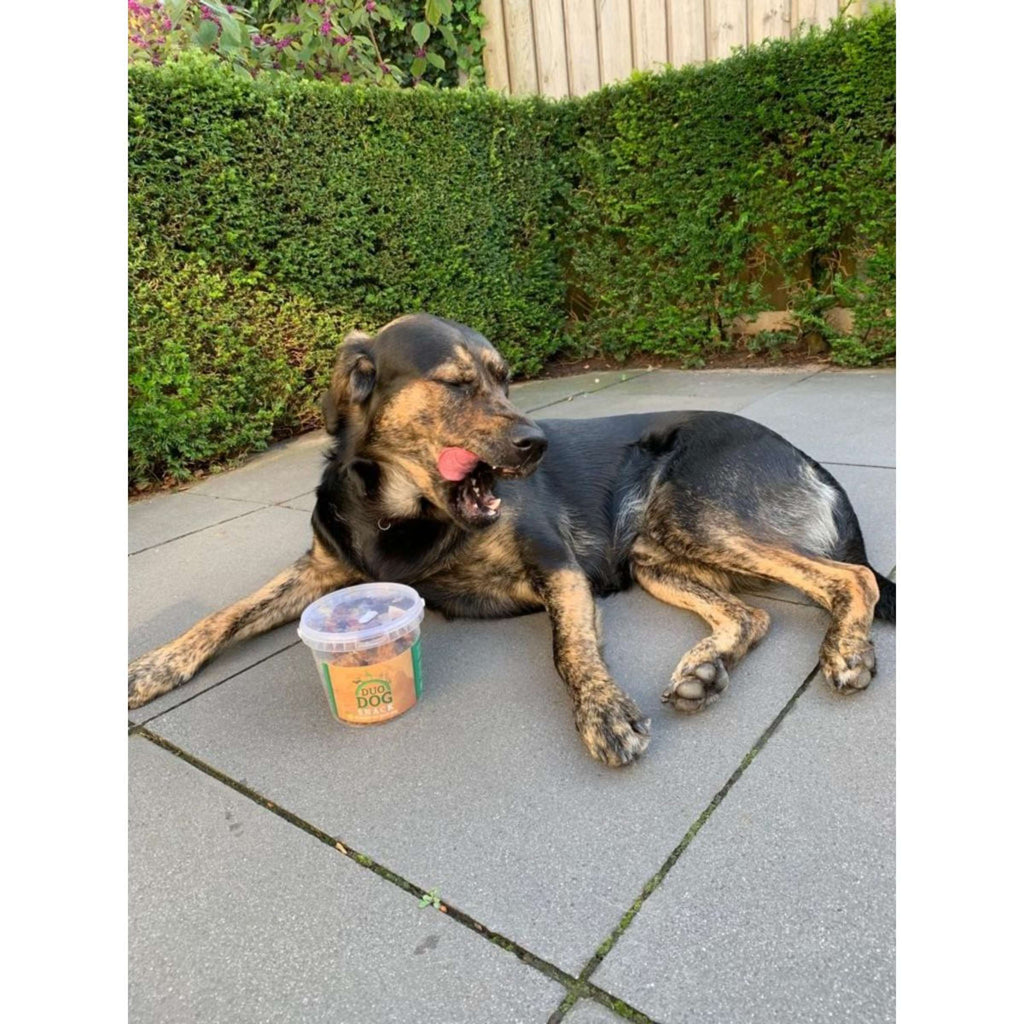 Duo Protection Snack para Perro
