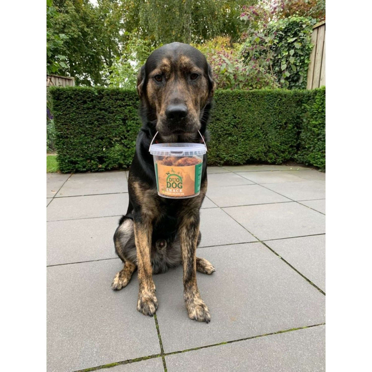 Duo Protection Snack para Perro