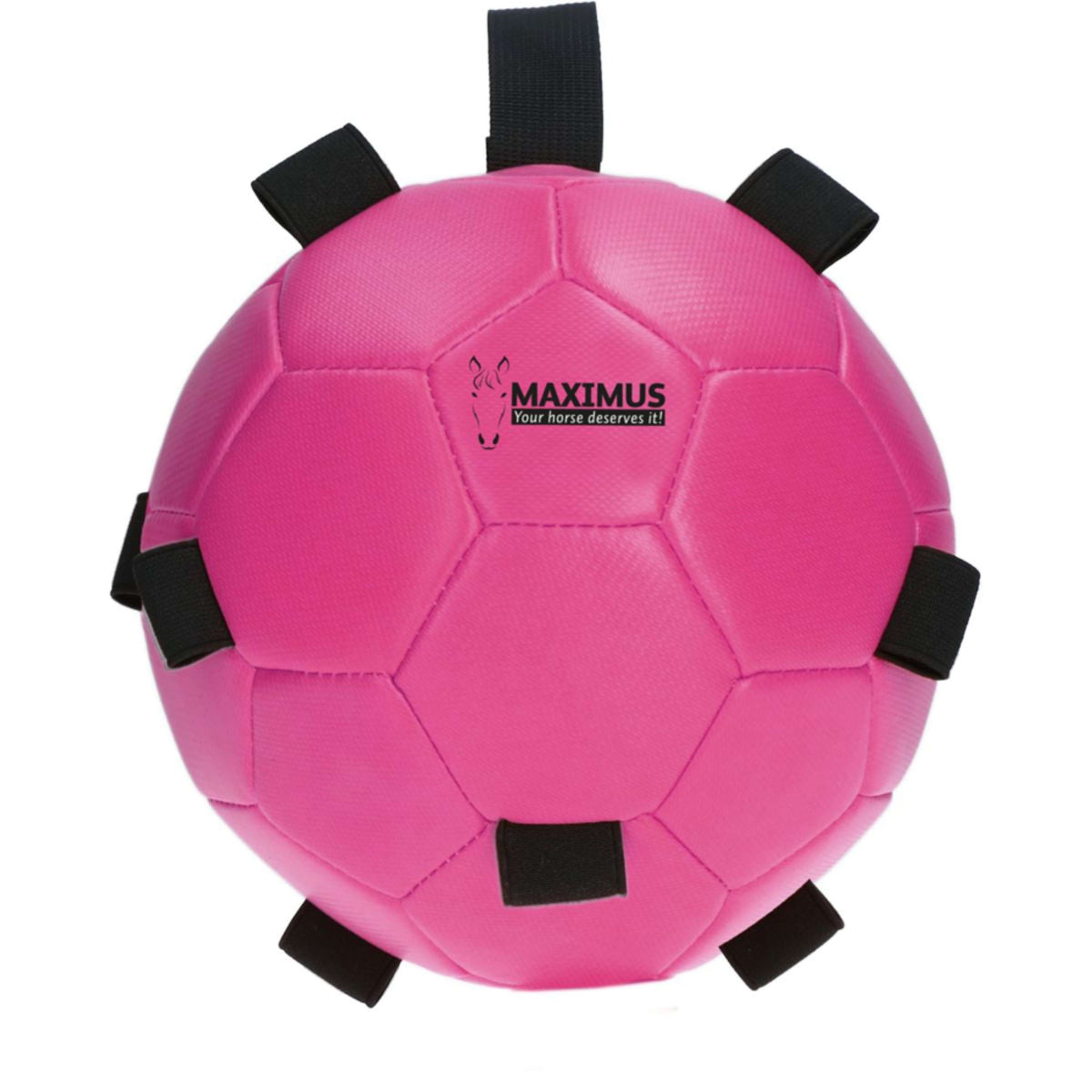 Maximus Pelota Fun Play Rosa