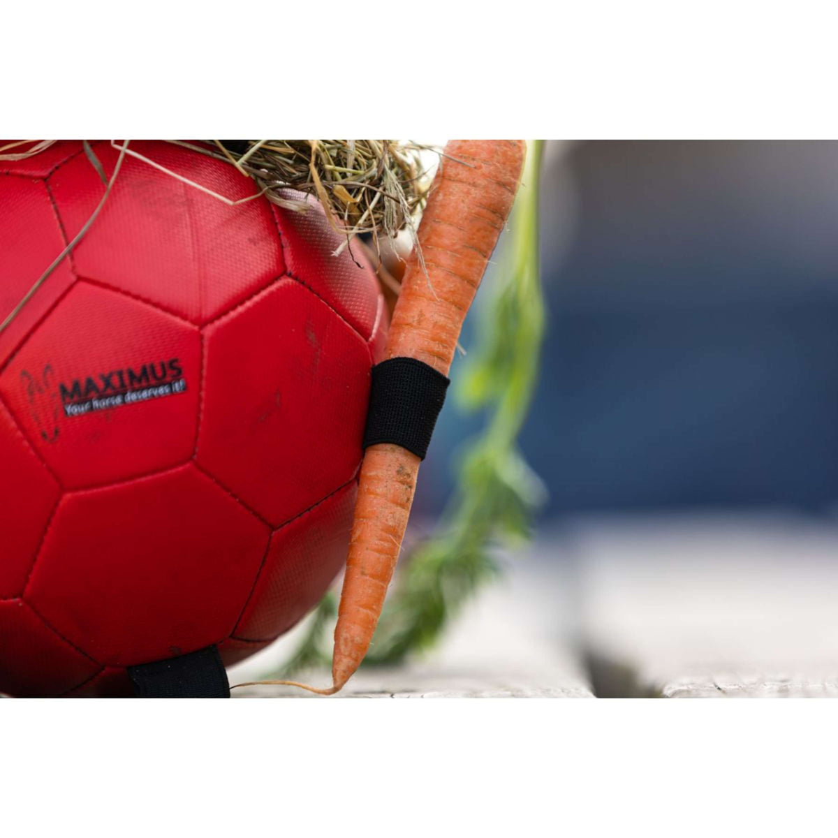 Maximus Pelota Fun Play Verde