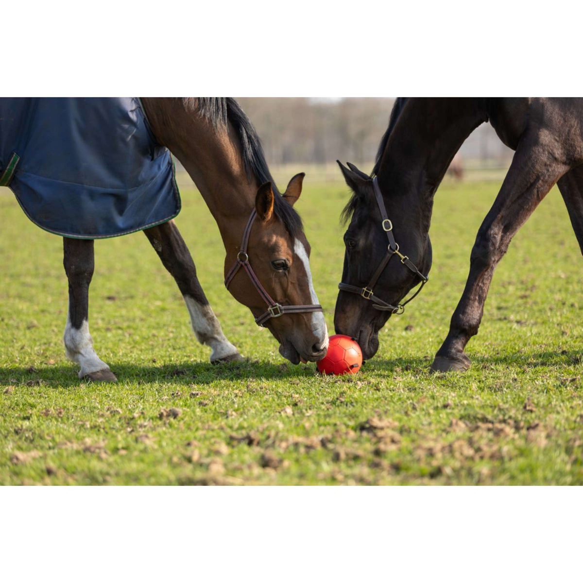Maximus Pelota Fun Play Verde